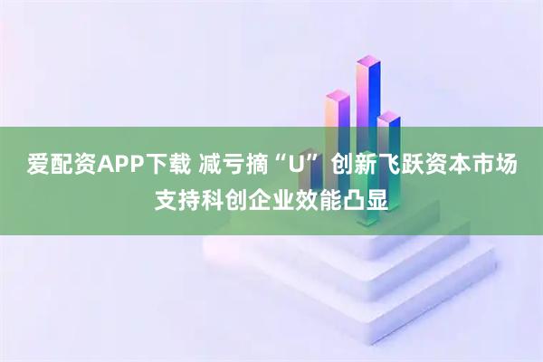 爱配资APP下载 减亏摘“U” 创新飞跃资本市场支持科创企业效能凸显