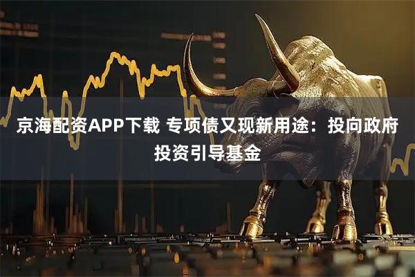京海配资APP下载 专项债又现新用途：投向政府投资引导基金