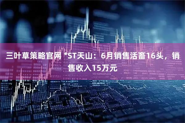 三叶草策略官网 *ST天山：6月销售活畜16头，销售收入15万元